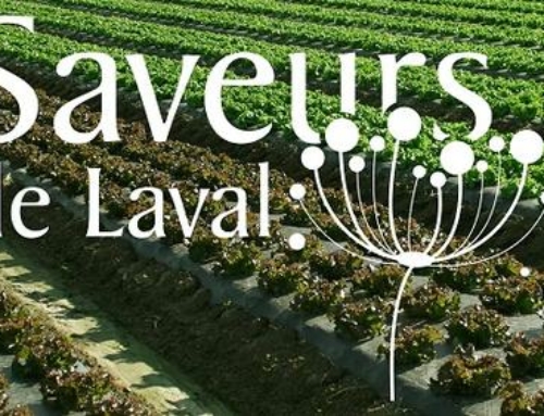 Saveurs de Laval : la Rive-Nord dans votre garde-manger!